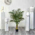 thumbnail image 3 of 4 Double Stalk Golden Cane Artificial Palm Tree, 3 of 5