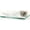 Polished Nickel, variant on Alno A8430-PB/NL Contemporary Ii Frosted Glass Soap Dish - Brass