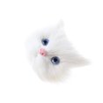 thumbnail image 3 of Ramillete de Cabeza de Gato de Simulación Sintética Figurita de Sunnimix Realistic Simulation Cat Head, 3 of 8