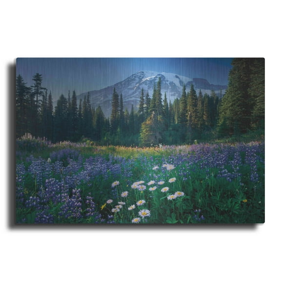 Luxe Metal Art 'Mount Rainier' by Alan Majchrowicz,Metal Wall Art, 36"x24"