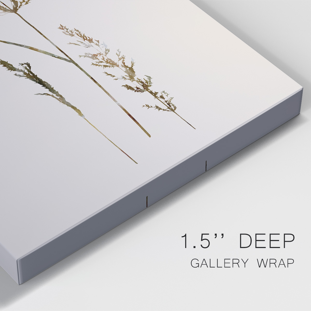 Delicate Stems II Premium Gallery Wrapped Canvas - Ready to Hang