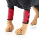 thumbnail image 2 of Soporte para patas de perro, con tiras reflectantes y rodilleras para perros (S) JM, 2 of 5