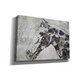 thumbnail image 2 of Epic Graffiti 'Black Ghost Horse 2' by Irena Orlov, Canvas Wall Art, 18"x12", 2 of 3
