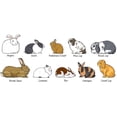 thumbnail image 3 of CafePress - Mug - 11 oz Ceramic Mug - Novelty Coffee Tea Cup, 3 of 6