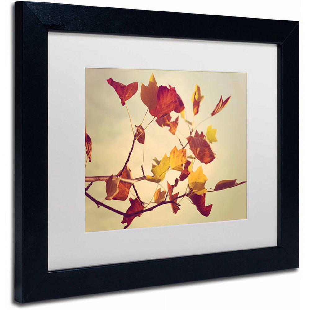 Trademark Fine Art "Still Fall" Canvas Art by Philippe Sainte-Laudy, White Matte, Black Frame