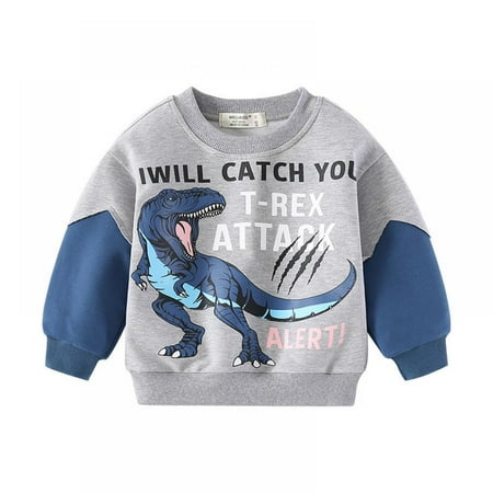 

GYRATEDREAM Toddler Boys Sweatshirts Dinosaur Long Sleeve Pullover Crewneck Tops Shirts 2-7 Years