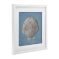 thumbnail image 3 of Stupell Industries Soft Sea Clam Shell White Framed Print Under Glass design by Julia Purinton, 13 x 13, 3 of 10