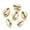 Golden, variant on MATROOY 50pcs Electroplated Shell Beads Cowrie Shells Mixed Color for Craft Making-Light Gold