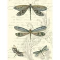 thumbnail image 3 of Vision Studio 19x24 Black Modern Framed Museum Art Print Titled - Dragonfly Delight I, 3 of 5