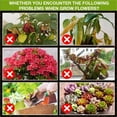 thumbnail image 4 of Plant Fertilizer Indoor Potted Plants, Liquid Fertilizer, BottlewithDropper, 1.7 Fl Oz, Indoor, Growth Enhancing Supplement, 4 of 7
