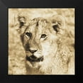 thumbnail image 2 of Parker, Susann 20x20 Black Modern Framed Museum Art Print Titled - Young Lion, 2 of 5