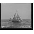 thumbnail image 2 of Historic Framed Print, Albicore - 2, 17-7/8" x 21-7/8", 2 of 9