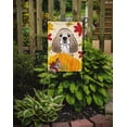thumbnail image 2 of Carolines Treasures BB2022GF Cocker Spaniel Thanksgiving Flag Garden, 2 of 3