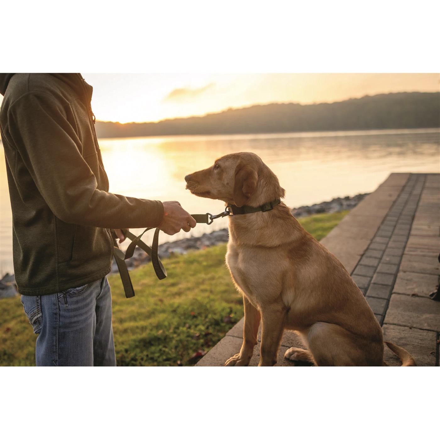 MOmarsh Adjustable Dog Leash Cypress Green