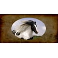 thumbnail image 2 of 212 Main LPO2248 6 x 12 in. Gypsy Vanner Horse Photo License Plate, 2 of 2