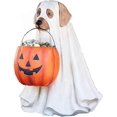 thumbnail image 1 of Support de Bol à Collations Citrouille Halloween, Support de Bol à Bonbons Fantôme Chien Taille Réelle, Plat à Collations, Grand Bol à Bonbons Citrouille Halloween, 1 of 5
