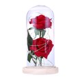 thumbnail image 1 of CAROOTU LED Rose Flower Decor Battery Powered String Light Desk Lamp Romantic Valentine's Day Gift, 1 of 7