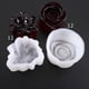 thumbnail image 4 of Molde de resina de flores de silicona 2 piezas Sunnimix para joyas de bricolaje Color blanco, 4 of 8
