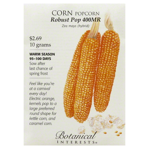 Robust Pop 400MR Popcorn Corn Seeds 10 grams