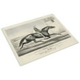 thumbnail image 3 of Print: Pacing Horse Billy Boyce Of St. Louis: As He Appeared At Buffalo, 3 of 4