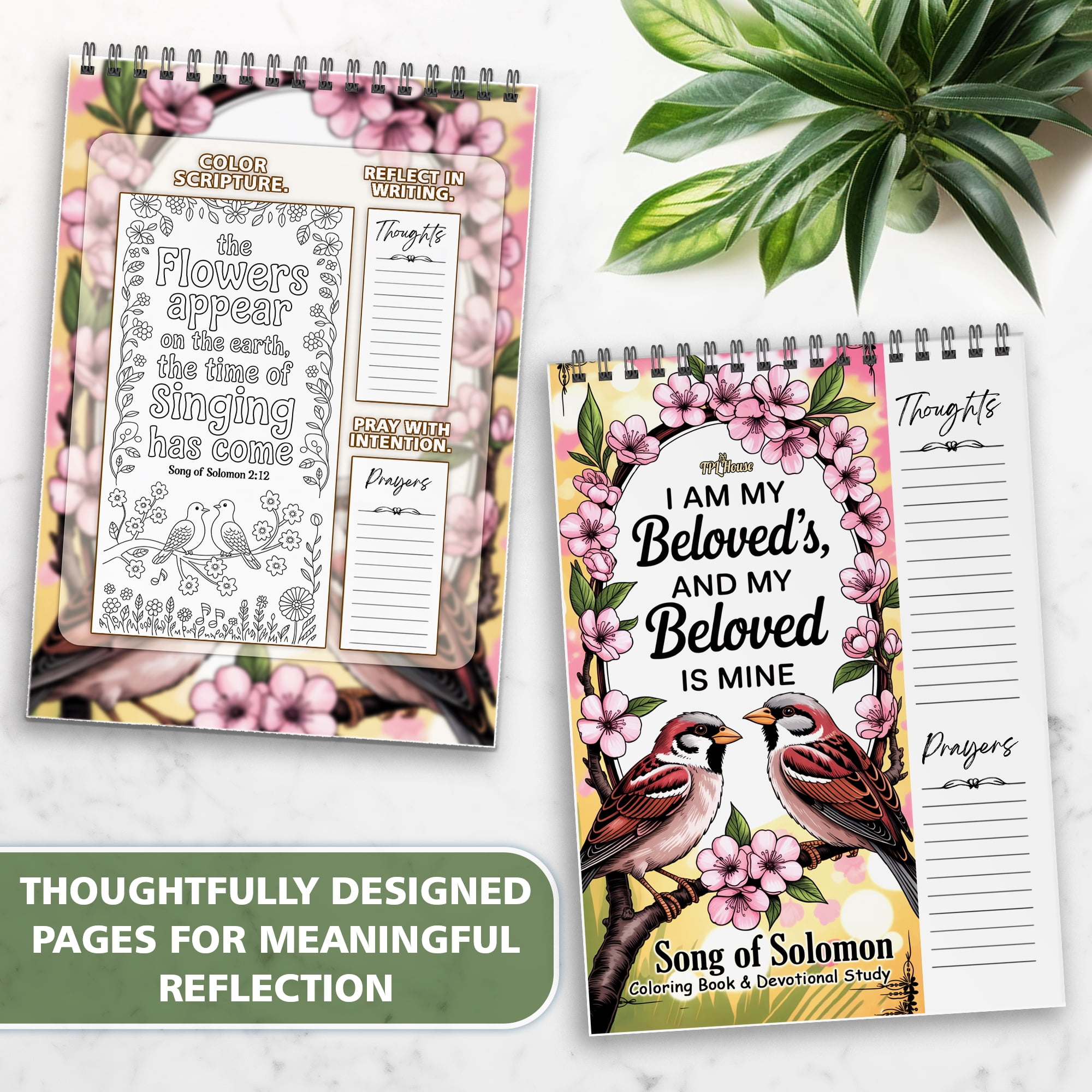 Song of Solomon Coloring Book for Adults, 30 Minimalist Scripture Art Pages with Reflection & Prayer Space, Spiral Bound, A4 or A5 Softcover or Wood Cover