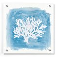 thumbnail image 1 of Epic Art 'Water Coral Cove VI' by Lisa Audit, Acrylic Glass Wall Art, 36"x36", 1 of 7