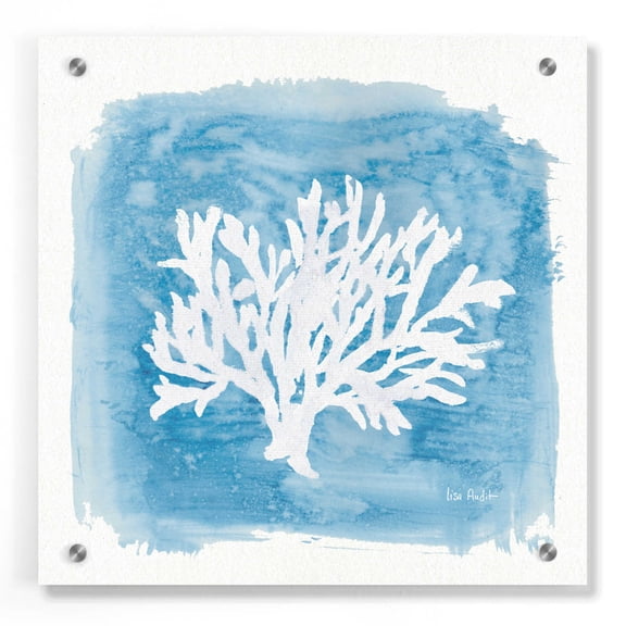 Epic Art 'Water Coral Cove VI' by Lisa Audit, Acrylic Glass Wall Art, 36"x36"