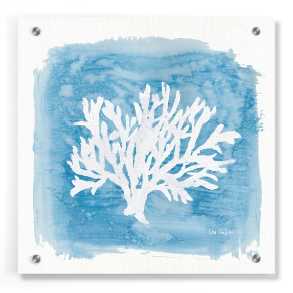 Epic Art 'Water Coral Cove VI' by Lisa Audit, Acrylic Glass Wall Art, 36"x36"