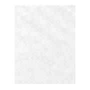 8 1/2 x 11 Paper - Clear Translucent (250 Qty.)