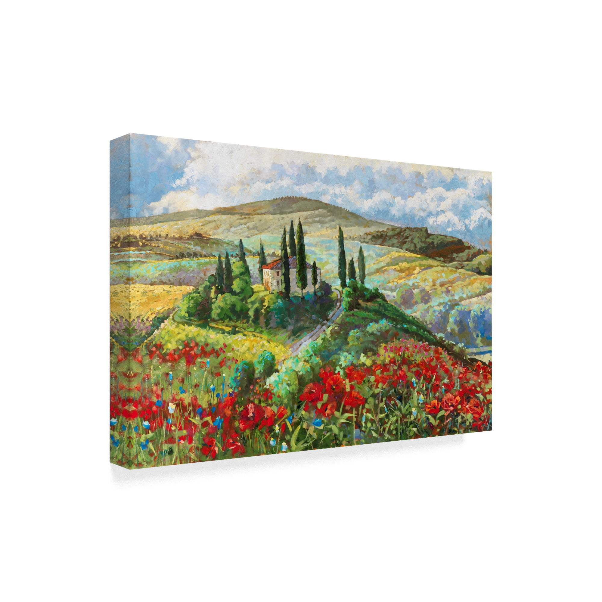 Trademark Fine Art 'Val Darcie' Canvas Art by Cecile Broz