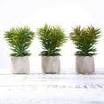 thumbnail image 2 of Efavormart Set of 3 | 8” Assorted Spiky Crassula Artificial Faux Succulent Mini Green Plants in Cement Pot, 2 of 11