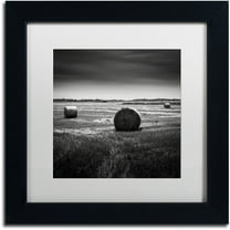 Trademark Fine Art "Rural" Canvas Art by Dave MacVicar, White Matte, Black Frame