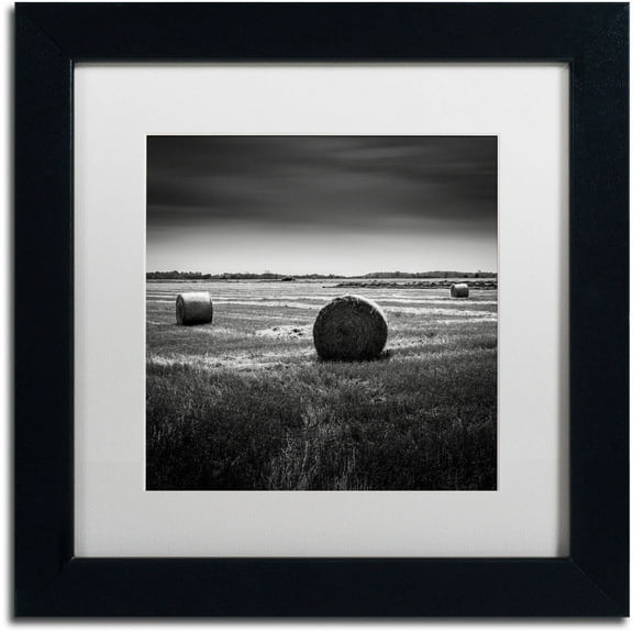 Trademark Fine Art "Rural" Canvas Art by Dave MacVicar, White Matte, Black Frame
