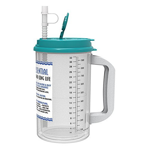 Plastic Insulated Clear Thermo 32oz Mug Bendable Straw & Blue Lid Bon Secours 