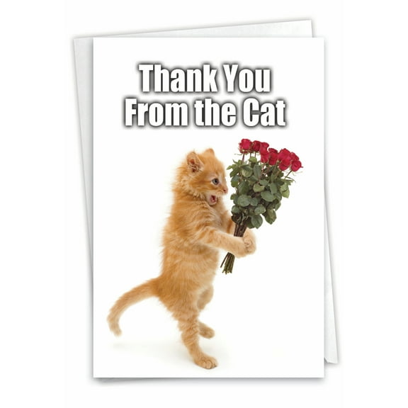 9116 Humor Thank You Card ' From The Cat ' with Envelope by NobleWorks