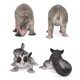 thumbnail image 2 of Set de figuras de animales salvajes con diseño realista de PVC Sugar Glider Thylacine, 2 of 3