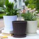 thumbnail image 3 of 3 Sets Resin Planters Garden Flowers Pots Simple Plant Pots Succulents Pots, 3 of 4