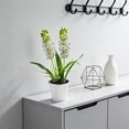 thumbnail image 1 of Hyacinth Bonsai Plastic Potted Plants Simulated Silk Flower Lifelike Home Decoration Suitable For Desktop Office And Wedding Centerpiece Decoration, 1 of 6