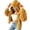 Ginger, variant on Womens Cute Bear Ear Hooded Fuzzy Jacket Vertical Striped Zip Up Cropped Fleece Cardigan Warm Cozy Casual Outerwear for Fall Winter Gray S