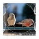 thumbnail image 4 of Clear Window Bird Feeder with Strong Suction Cups and Dual Compartments for Outdoor Use, 4 of 5