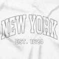 thumbnail image 2 of Athletic Varsity New York Est 1624 Hoodie Sweatshirt Women Men Brisco Brands S, 2 of 5