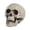 C, variant on OIUR Halloween Skull Head Decor Plastic Realistic Human Skull Figurine for Graveyard Scene Haunted House Bar Home Table Decorations