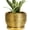 Golden, variant on Ceramic Planter - 6 Inch Plant Pot Indoor Outdoor, Modern Round Planter with Drainage Hole and Plant Saucer, Decorative Small Flower Pot, Home Decor, Birthday Gifts, Gold