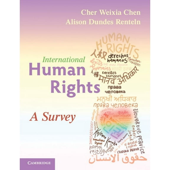 International Human Rights: A Survey, (Paperback)