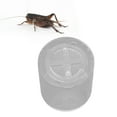 thumbnail image 4 of Cricket Terrarium, Ventilated Acrylic  Feeding Box  for Spiders for Crickets, 4 of 7