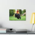 thumbnail image 3 of Majestic Rooster Art Majestic Rooster Print Animal Wall Art Wildlife Canvas Prints Wall Art Ready to Hang Unframed, 3 of 18