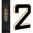 thumbnail image 1 of Solar Lighted House Numbers | 9 Inch Waterproof LED Address Signs for Outside with Night Visibility, 1 of 15