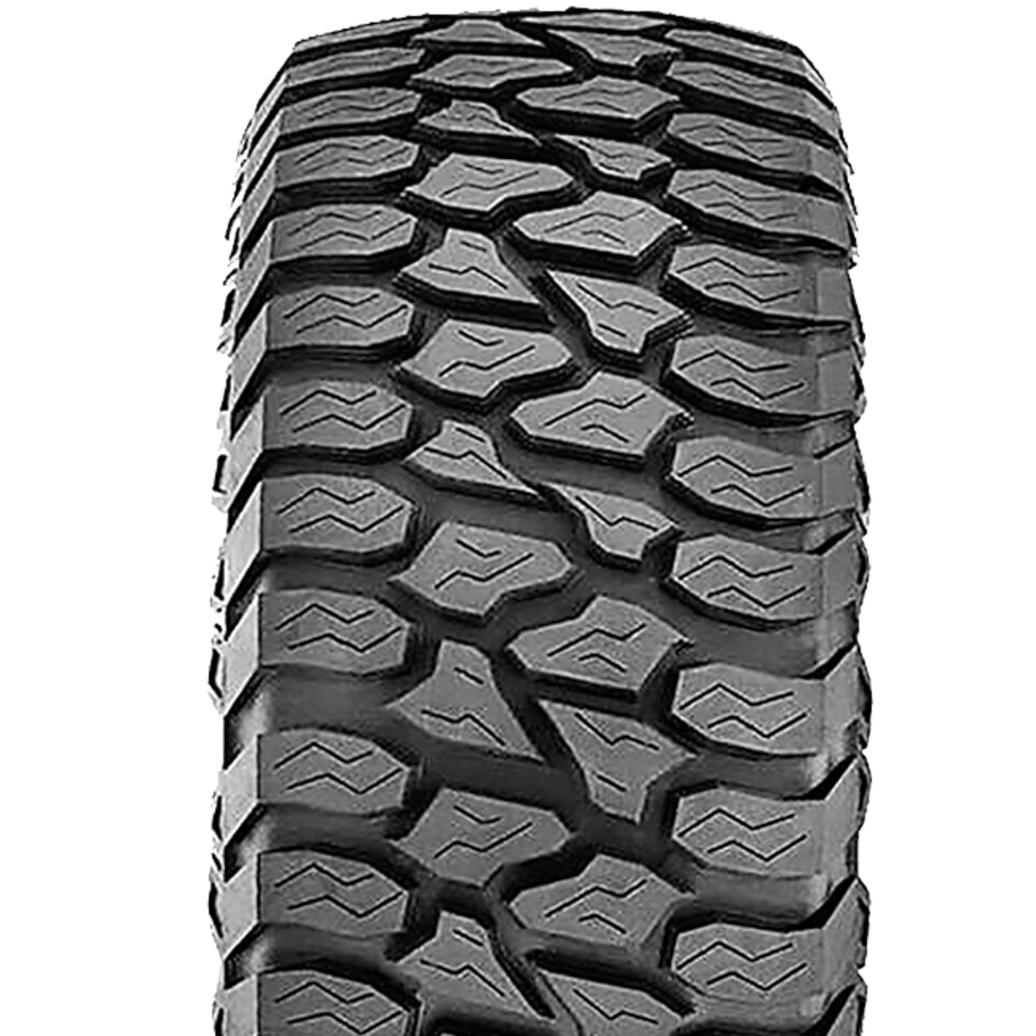 251013-05 ①MONSTA TERRAIN GRIPPER ラジアル2本 Terrain Gripper A