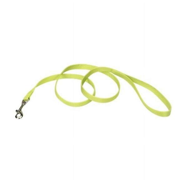 Animal Supply Company CO04064 6 ft. Pet Nylon Leash - Lime