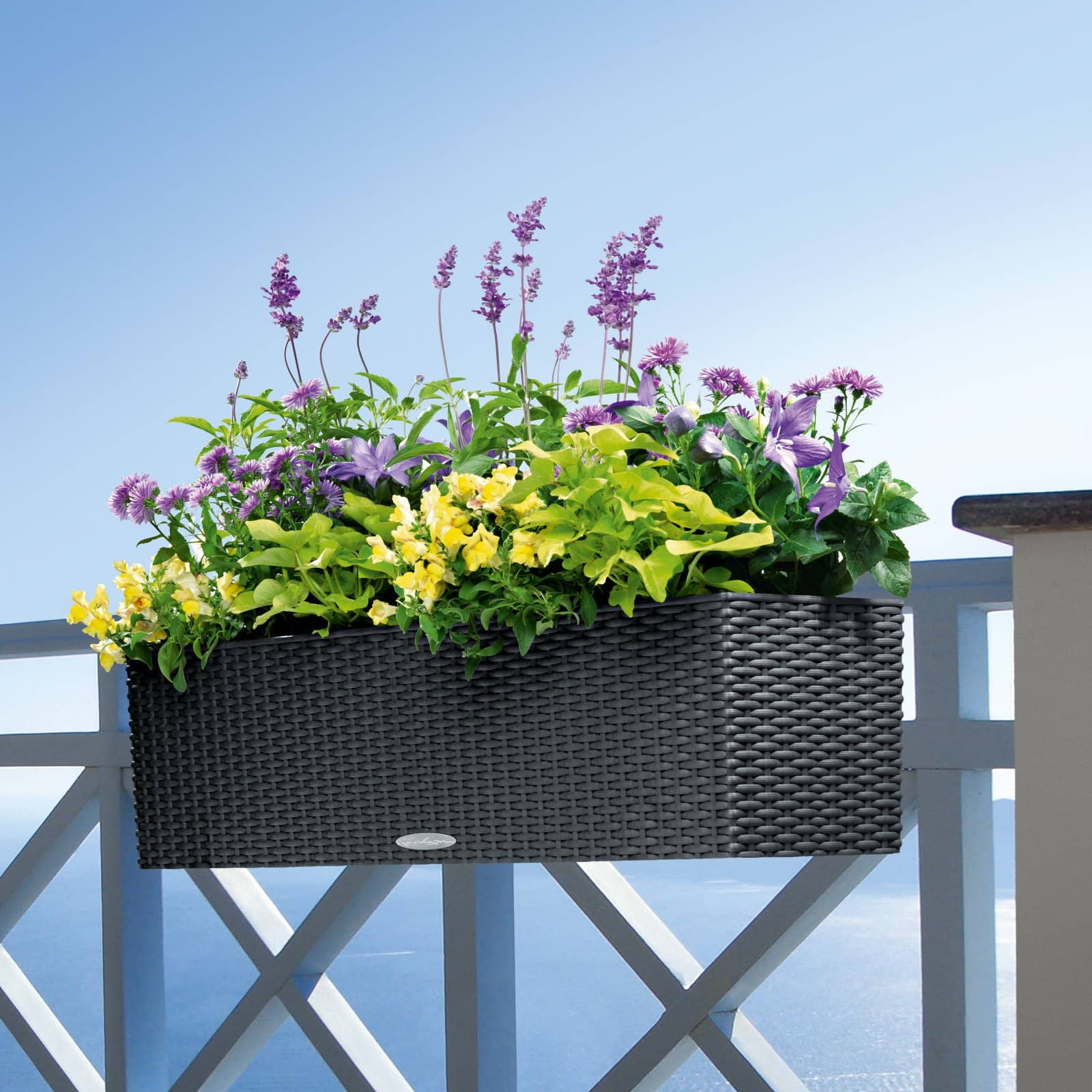 BALCONERA Cottage 80 Mocha, Self-Watering Window Box (Railing Planter), H7.5 L31.5 W7.5 in
